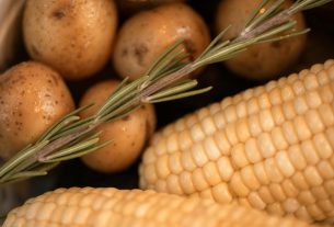 close up photo of fresh corns and potatoes