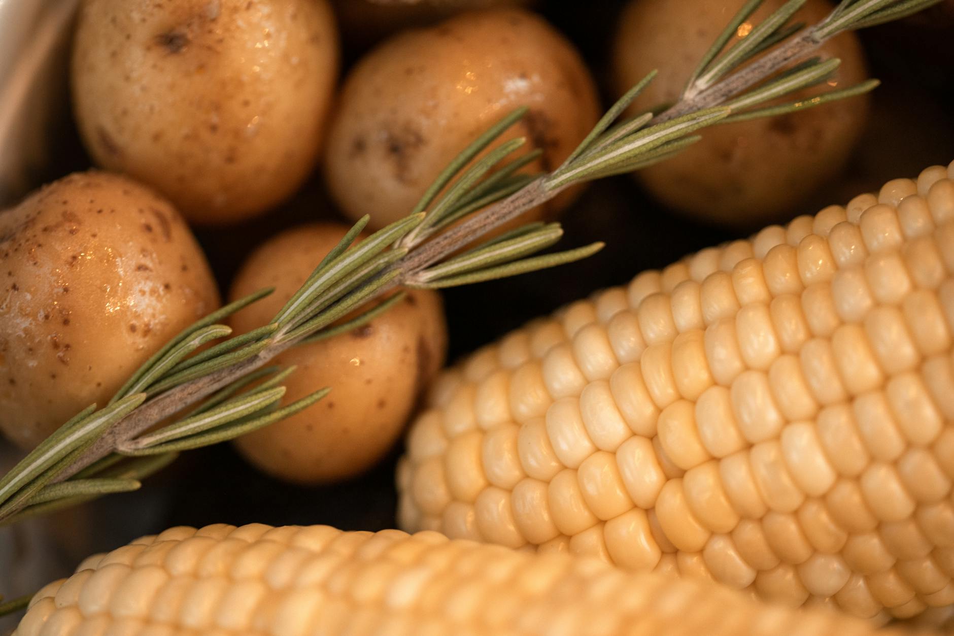 close up photo of fresh corns and potatoes