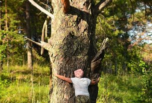 photo of a person hugging a tree