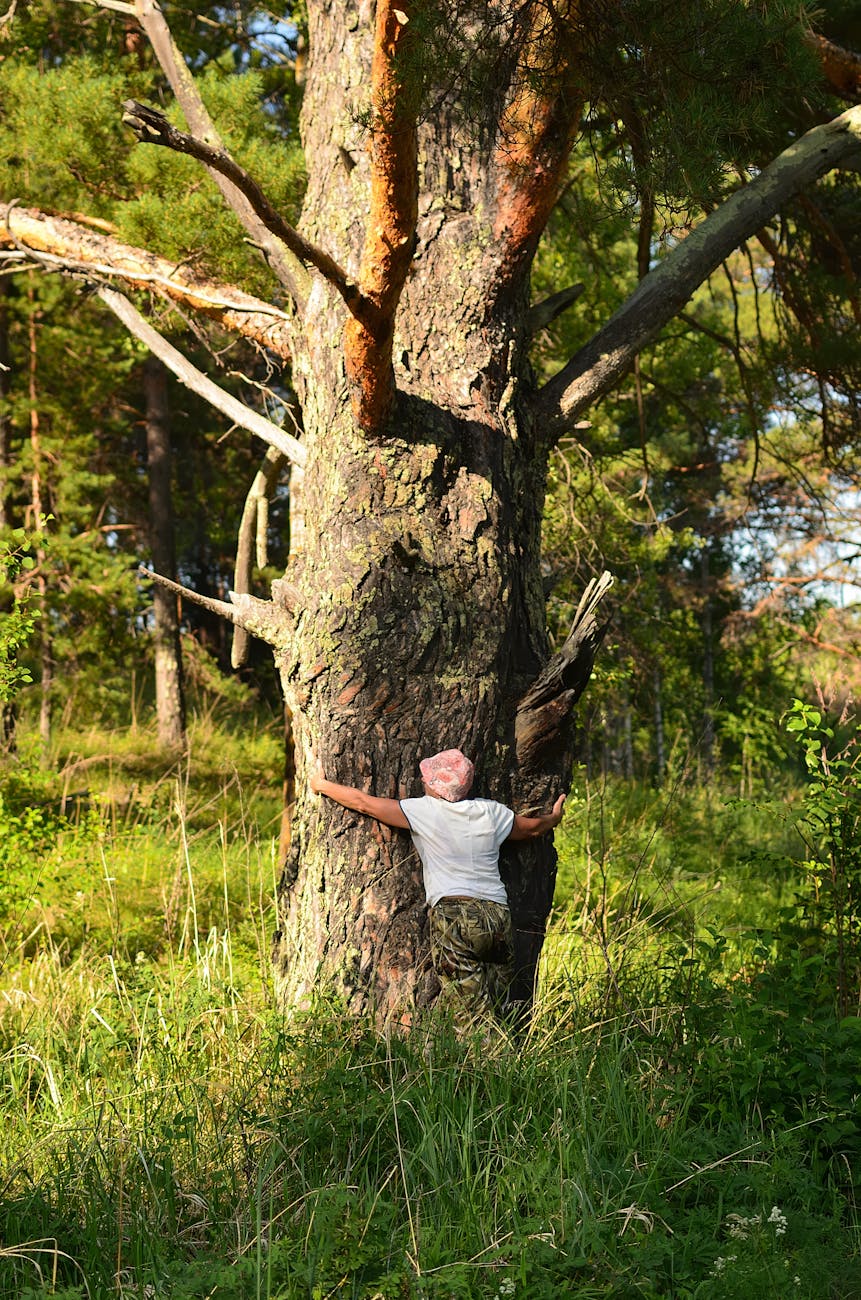 photo of a person hugging a tree